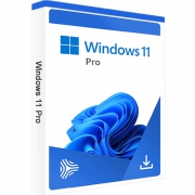 Microsoft Windows 11 Pro OEM ESD PL 